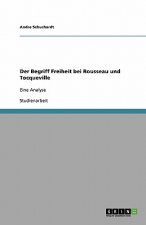 Begriff Freiheit Bei Rousseau Und Tocqueville