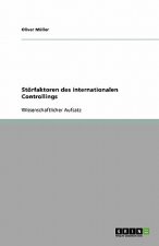 Stoerfaktoren des internationalen Controllings