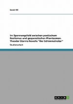 Im Spannungsfeld zwischen poetischem Realismus und gespenstischen Phantasmen. Theodor Storms Novelle Der Schimmelreiter