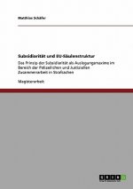 Subsidiaritat und EU-Saulenstruktur