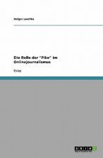 Rolle der Pike im Onlinejournalismus