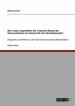 Wie nutzen Jugendliche die virtuellen Raume der Kommunikation im Internet fur ihre Identitatssuche?