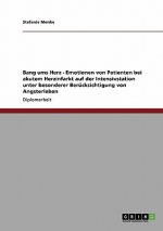 Bang ums Herz - Emotionen von Patienten bei akutem Herzinfarkt auf der Intensivstation unter besonderer Berucksichtigung von Angsterleben