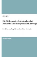 Die Wirkung des Ästhetischen bei Nietzsche und Schopenhauer im Vergleich
