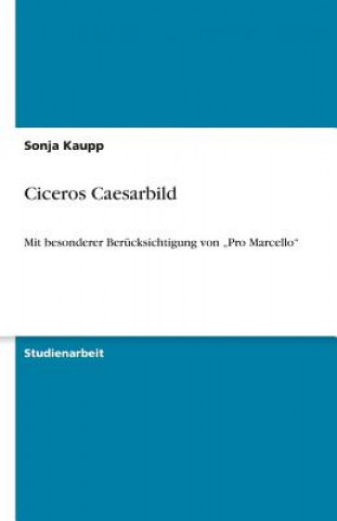 Ciceros Caesarbild
