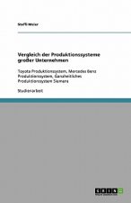 Vergleich der Produktionssysteme grosser Unternehmen