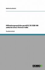 Hilfeplangesprache gemass  36 SGB VIII anhand eines fiktiven Falls