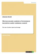 Microeconomic analysis of investment incentives under emission control