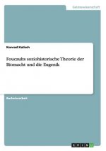 Foucaults soziohistorische Theorie der Biomacht und die Eugenik