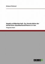 Hegab und Machterhalt - Zur Konstruktion der kunstlichen Geschlechterdifferenz in Iran