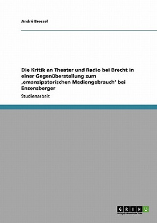 Kritik an Theater und Radio bei Brecht in einer Gegenuberstellung zum 'emanzipatorischen Mediengebrauch' bei Enzensberger