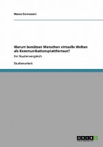 Warum benutzen Menschen virtuelle Welten als Kommunikationsplattformen?