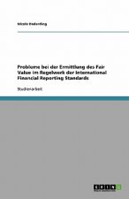 Probleme bei der Ermittlung des Fair Value im Regelwerk der International Financial Reporting Standards