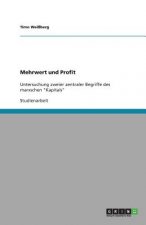 Mehrwert Und Profit