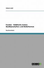 Favelas - Stadtische Armut, Nachbarschaften und Wohnformen