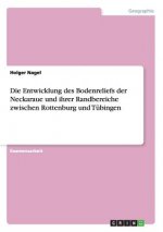 Entwicklung des Bodenreliefs der Neckaraue und ihrer Randbereiche zwischen Rottenburg und Tubingen