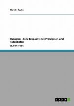 Shanghai - Eine Megacity mit Problemen und Potentialen