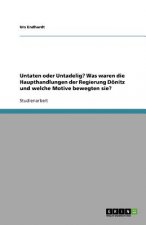 Untaten oder Untadelig? Was waren die Haupthandlungen der Regierung Doenitz und welche Motive bewegten sie?