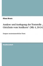 Analyse Und Auslegung Der Textstelle 