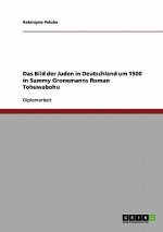 Bild der Juden in Deutschland um 1900 in Sammy Gronemanns Roman Tohuwabohu