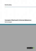 Concepts of Manhood in Victorian Melodrama