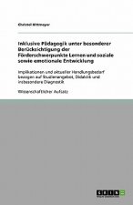 Inklusive Padagogik unter besonderer Berucksichtigung der Foerderschwerpunkte Lernen und soziale sowie emotionale Entwicklung
