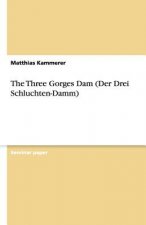 Three Gorges Dam (Der Drei Schluchten-Damm)