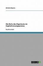 Rolle des Eigentums im Kapitalisierungsprozess