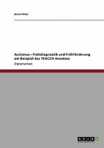Autismus. Fruhdiagnostik Und Fruhforderung. Der Teacch Ansatz.