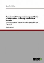 Auswahl und Wirkungsweise energiepolitischer Instrumente zur Foerderung erneuerbarer Energien