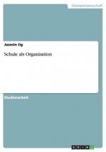 Schule als Organisation