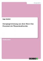 Energiegewinnung aus dem Meer. Das Potential der Wasserkraftwerke