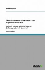 UEber den Roman 