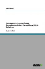 Interessenvertretung in Der Europ ischen Union