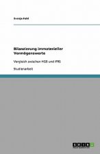 Bilanzierung immaterieller Vermoegenswerte