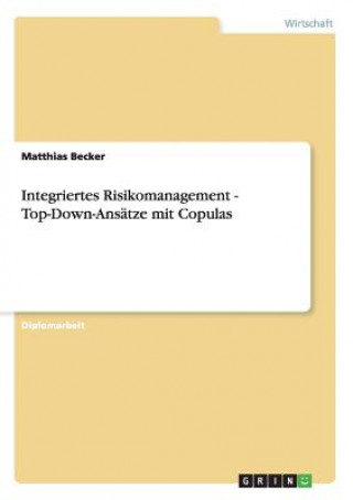 Integriertes Risikomanagement - Top-Down-Ansatze mit Copulas