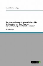 Internationale Strafgerichtshof - Ein Meilenstein auf dem Weg zur Verwirklichung der Menschenrechte?