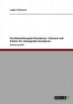 Entwicklung der Finanzkrise - Chancen und Risiken fur strategische Investoren