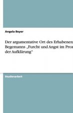 Der argumentative Ort des Erhabenen in Begemanns 
