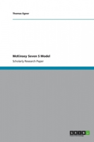 McKinsey Seven S Model