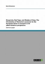 Blueprints, Red Tape, and Shades of Gray. The Chromatics of Romania's accession to the European Union in economic and administrative perspective