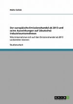 europaische Emissionshandel ab 2013 und seine Auswirkungen auf (deutsche) Industrieunternehmen