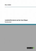 Landschaftsmalerei auf der Insel Rugen