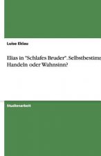 Elias in Schlafes Bruder. Selbstbestimmtes Handeln oder Wahnsinn?