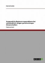 Ausgewahlte Besteuerungsprobleme bei wirtschaftlich tatigen gemeinnutzigen Koerperschaften