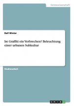 Ist Graffiti ein Verbrechen? Beleuchtung einer urbanen Subkultur