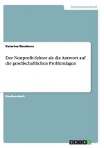 Nonprofit-Sektor als die Antwort auf die gesellschaftlichen Problemlagen