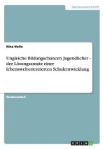 Ungleiche Bildungschancen Jugendlicher - der Loesungsansatz einer lebensweltorientierten Schulentwicklung