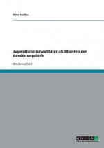 Jugendliche Gewalttater als Klienten der Bewahrungshilfe