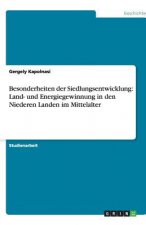 Besonderheiten der Siedlungsentwicklung: Land- und Energiegewinnung in den Niederen Landen  im Mittelalter